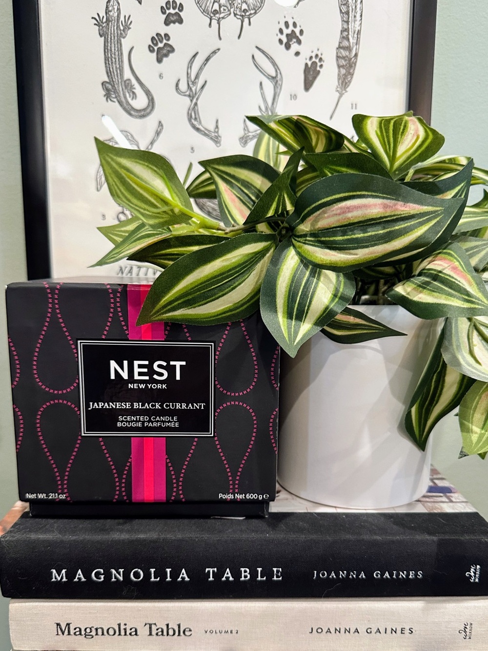 NEST | New York Japanese Black Currant • 3 Wick Candle